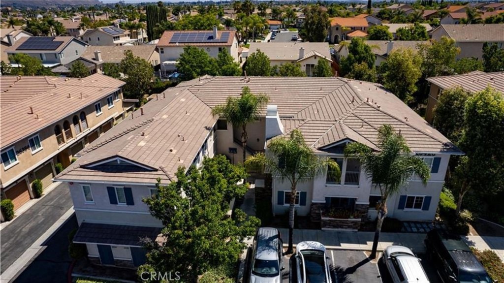 26426 Arboretum 806