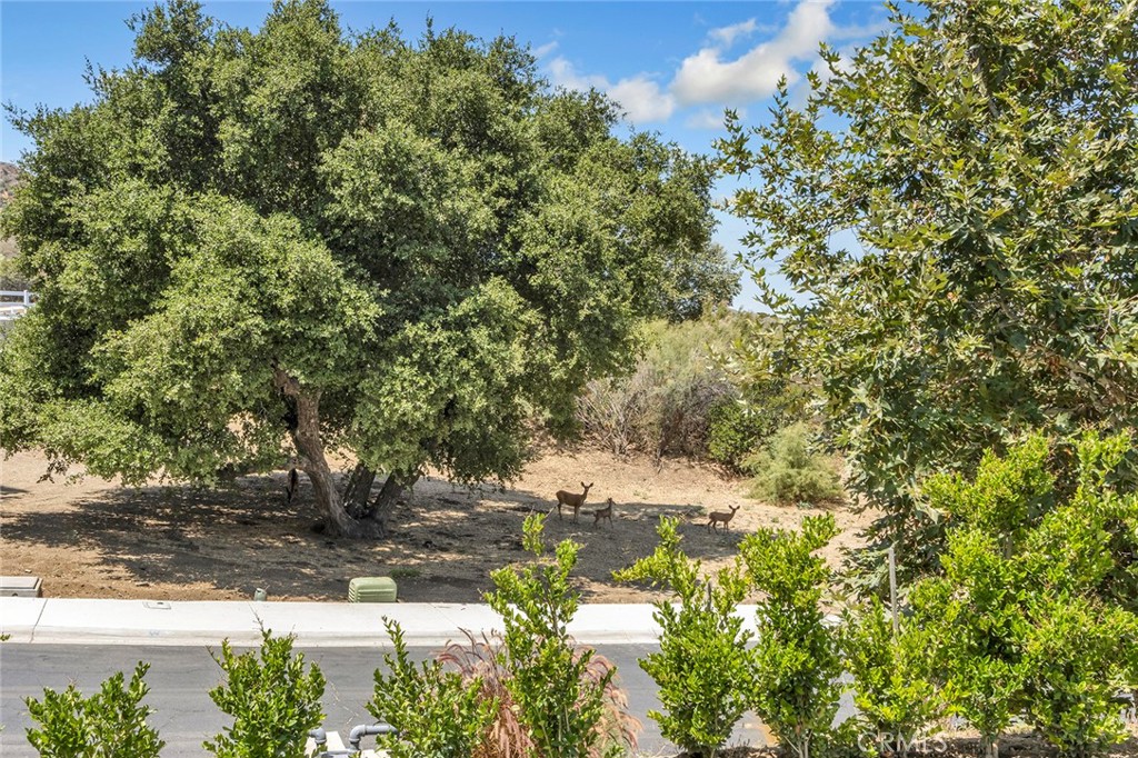 Custom Sand Canyon (CSAND) - Residential