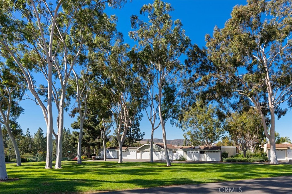 Laguna Village (LV) - Residential