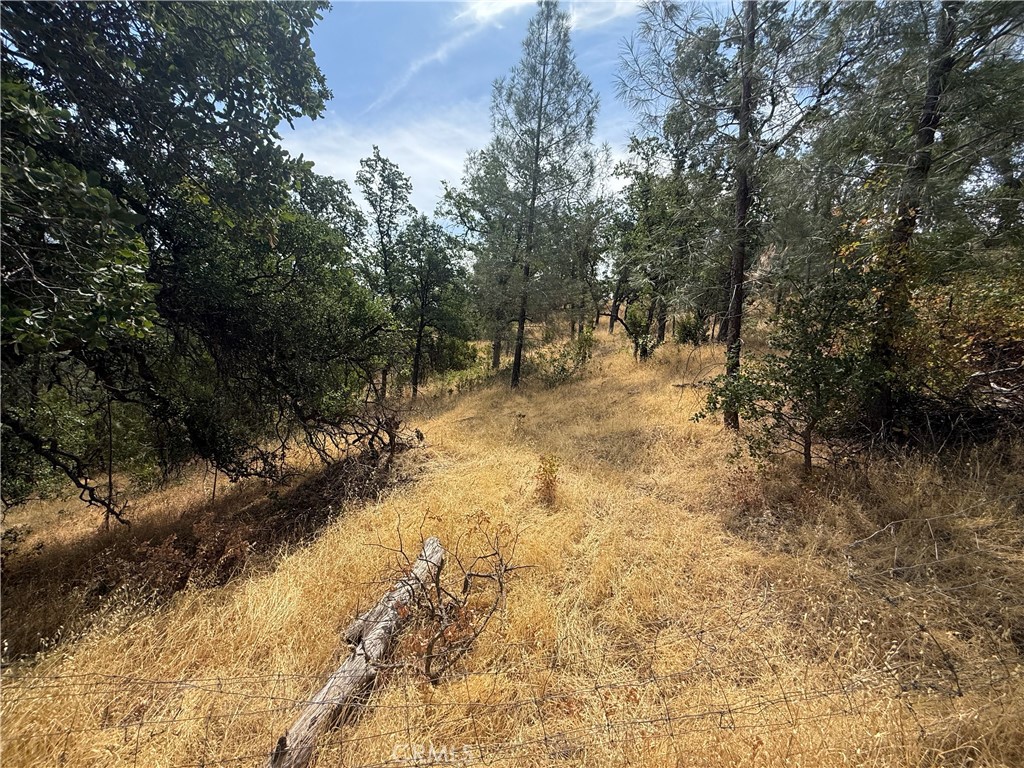 16295 Hillcrest Drive
