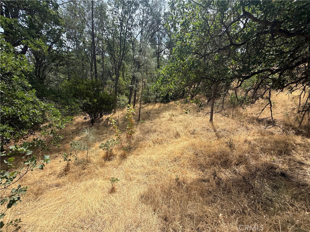 16295 Hillcrest Drive
