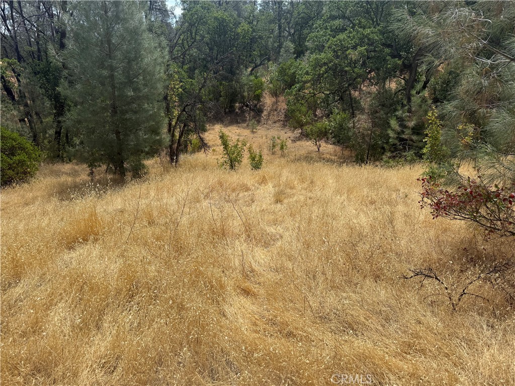 16295 Hillcrest Drive