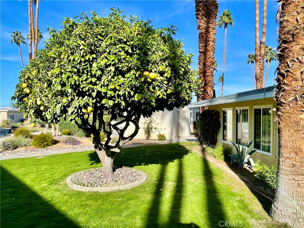Thunderbird Palms (32203) - Residential
