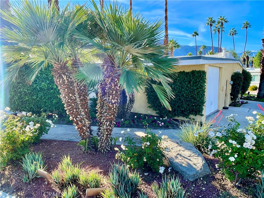 Thunderbird Palms (32203) - Residential