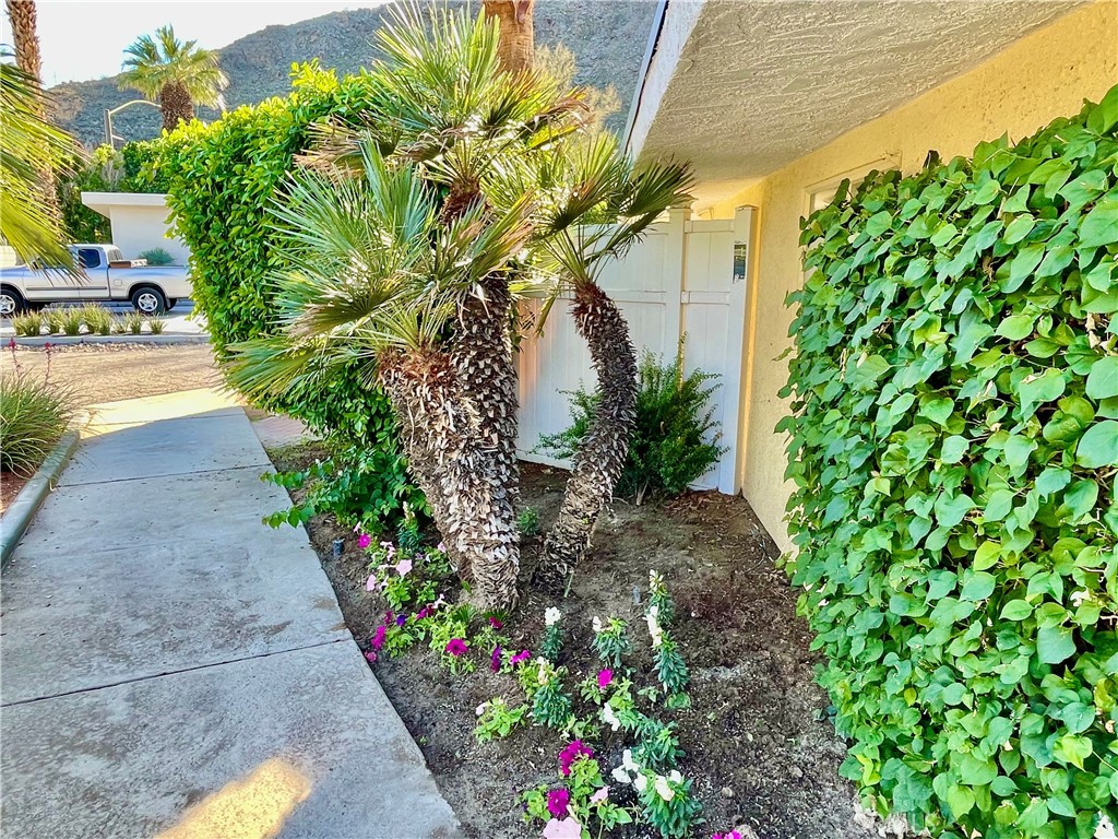 Thunderbird Palms (32203) - Residential