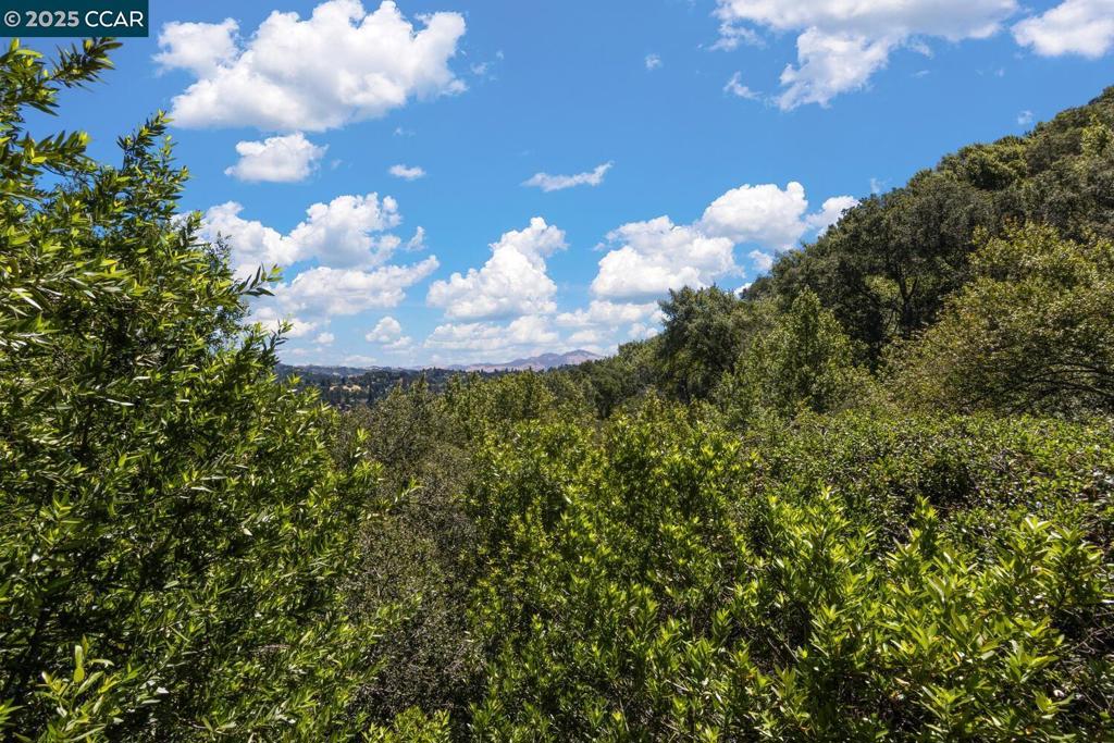 EL TOYONAL - Residential