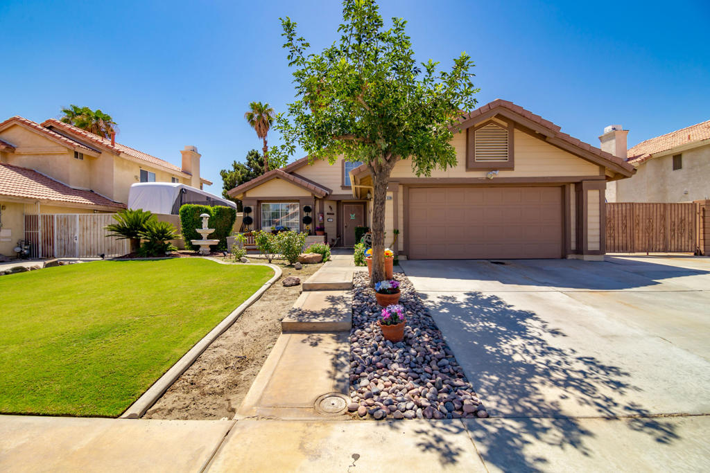 Wild Flower - Residential