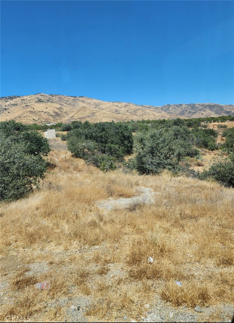 Custom Acton (CACTO) - Land