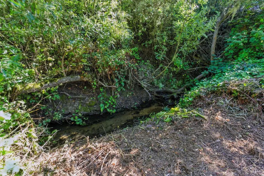 Moss Beach, California 94038, United States, 3 Bedrooms Bedrooms, ,2 BathroomsBathrooms,Residential,Active,195194