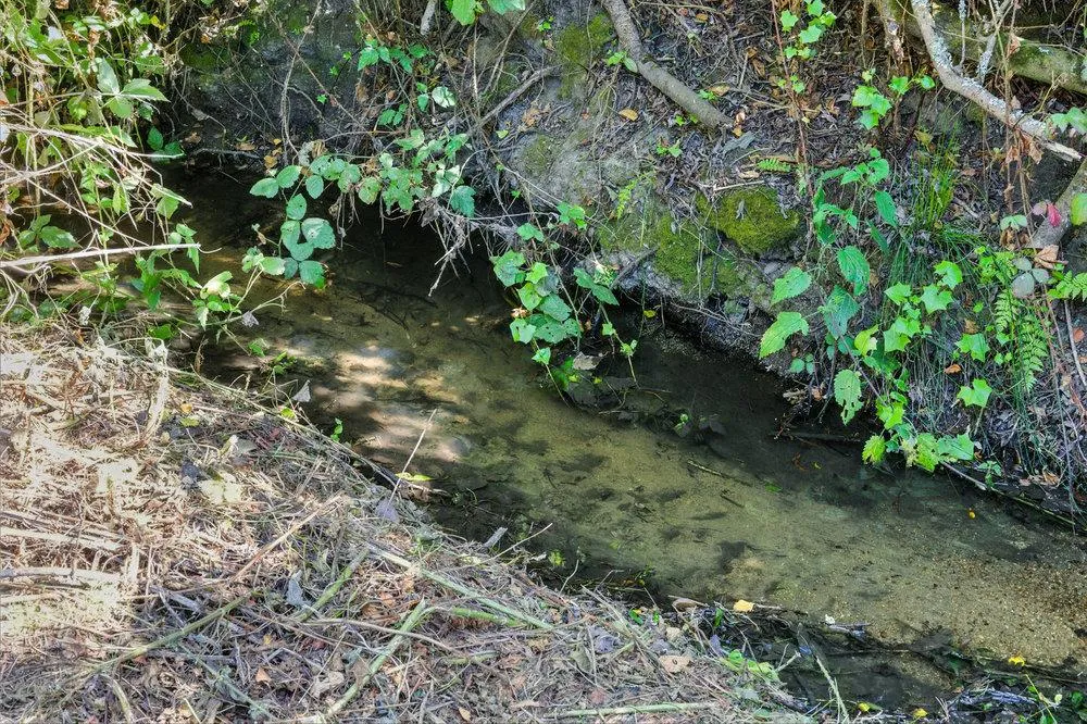 Moss Beach, California 94038, United States, 3 Bedrooms Bedrooms, ,2 BathroomsBathrooms,Residential,Active,195194