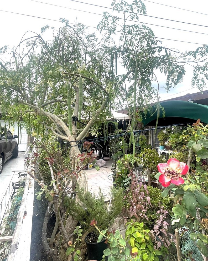 Park 72 (PK72) - Residential Income