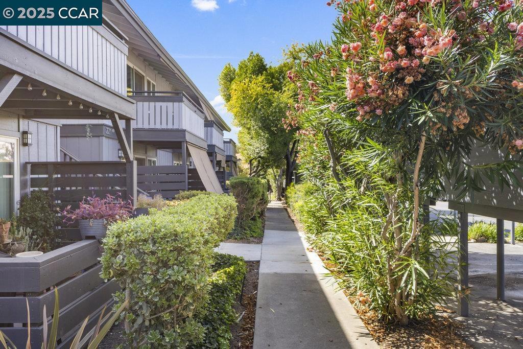 Discover comfort, style, and convenience at 213 Masters Court #3 in Walnut Creek. This single-level, upstairs condo offers one bedroom and a bright, open layout enhanced by new contemporary paint, new flooring, and an updated kitchen and bathroom. Relax on your private west-facing patio, perfect for enjoying afternoon light and evening sunsets. Everyday living is made easy with interior laundry, a dedicated covered parking space, and private storage. Set within a community bordering the golf course, residents enjoy resort-style amenities including a pool, spa, fitness center, tennis courts, and a fire pit gathering area. Just blocks from The Clarke Memorial Swim Center and Heather Farm’s All-Ability Park, you’re also minutes from dining, dog parks, shopping, and all that vibrant downtown Walnut Creek has to offer.
