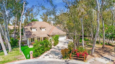 24921 Canyon Rim Place Lake Forest CA 92630