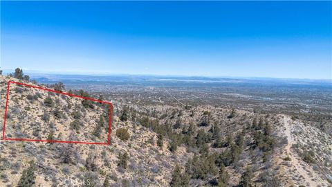 Photo of 27127 Mesquite, Pinon Hills, CA 92372 (MLS # HD26006799)