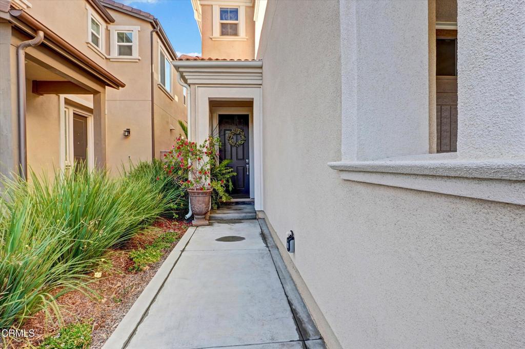 1951 Tangelo Way