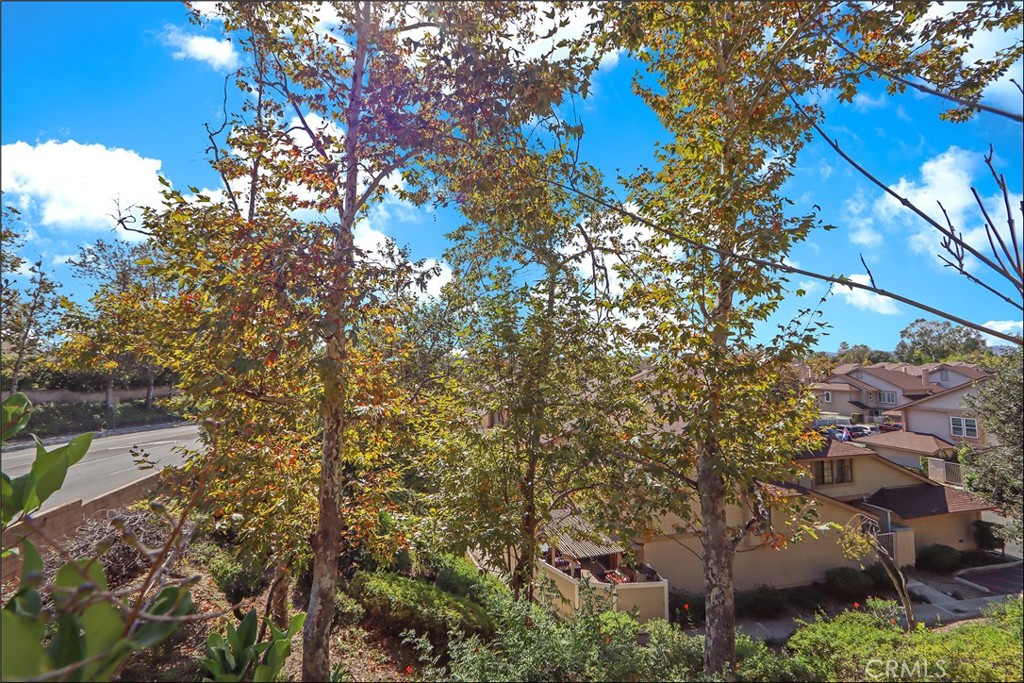25272 Birch Grove