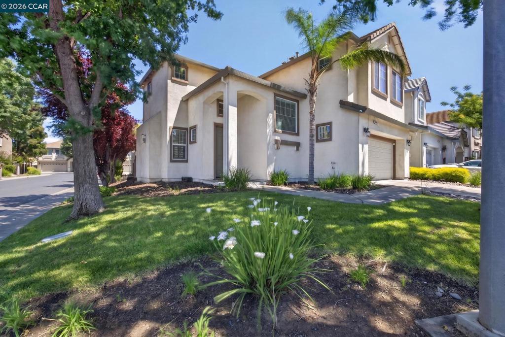 149 Maidenhair St