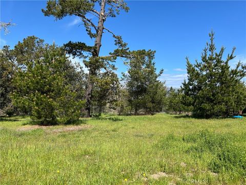 Tiny photo for 2540 Malvern Street, Cambria, CA 93428 (MLS # SC26091900)