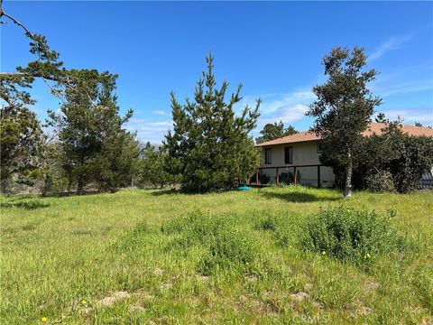 Tiny photo for 2540 Malvern Street, Cambria, CA 93428 (MLS # SC26091900)
