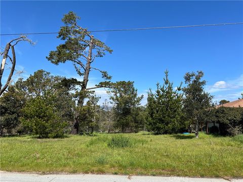 Tiny photo for 2540 Malvern Street, Cambria, CA 93428 (MLS # SC26091900)