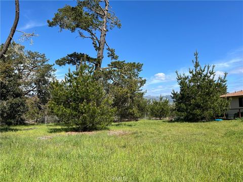 Tiny photo for 2540 Malvern Street, Cambria, CA 93428 (MLS # SC26091900)