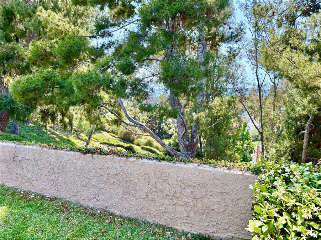 24271 Tahoe Court
