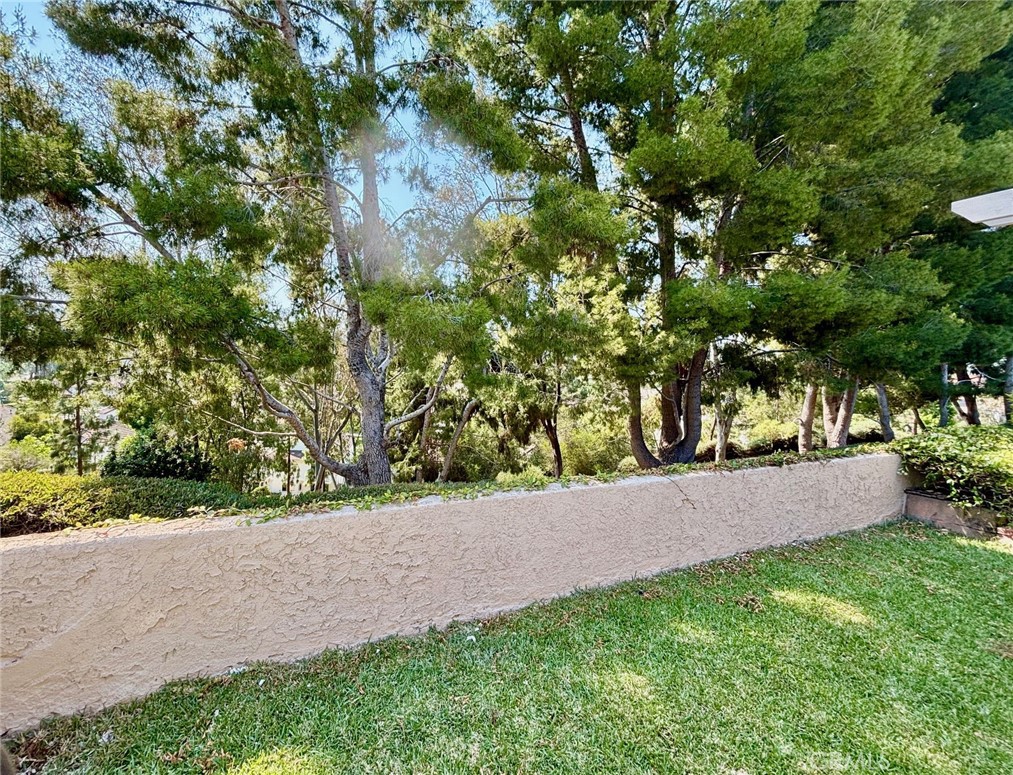24271 Tahoe Court