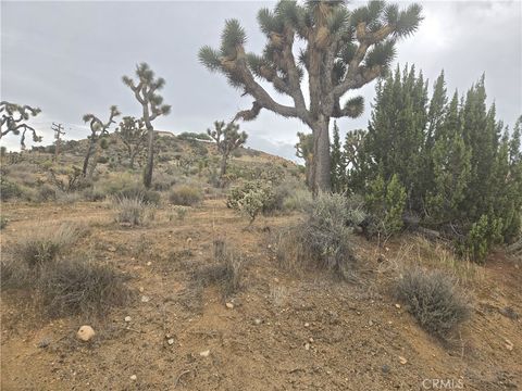 Photo of 54763 Twentynine Palms Highway, Yucca Valley, CA 92284 (MLS # JT25260765)