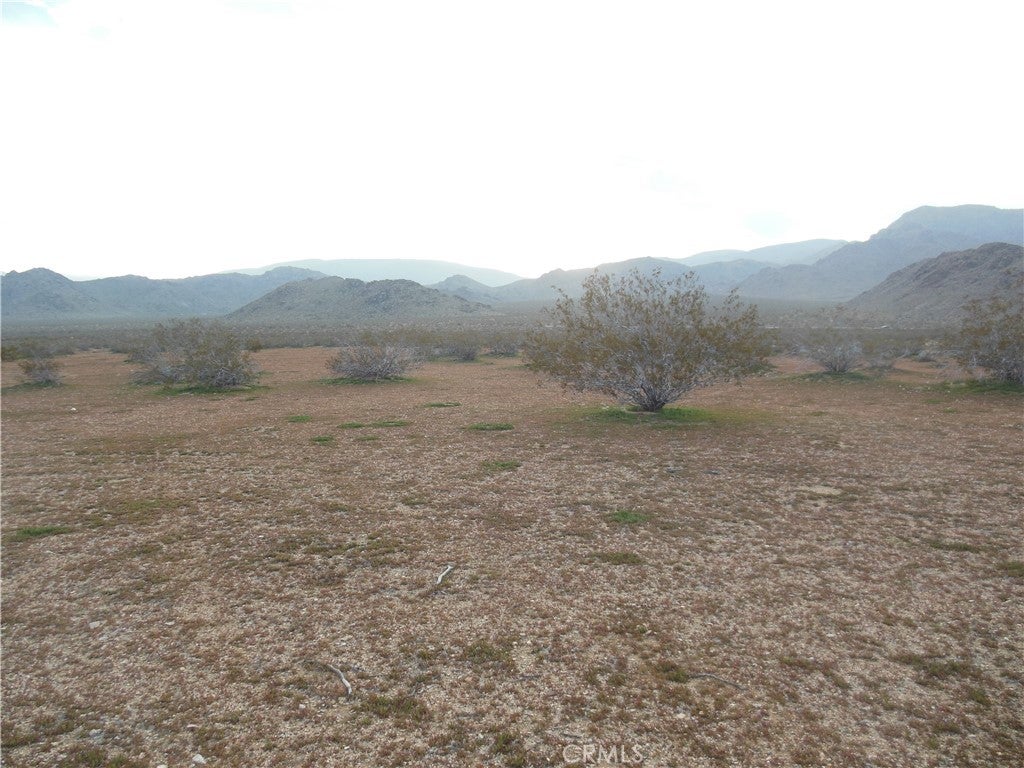 2300 Lorraine Ave (Lot 23)