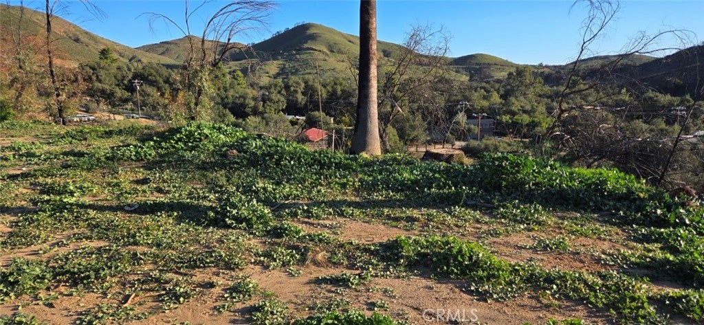 13720 Monte Vista