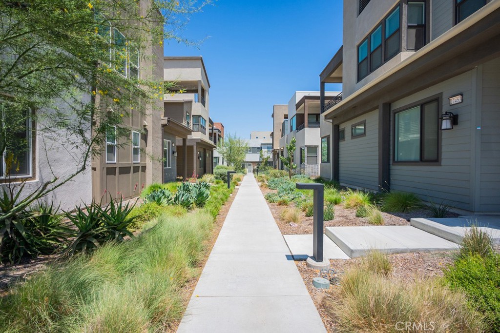 Rowan (ROWAN5P) - Residential