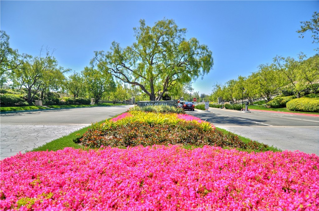 Woods (WDS) - Residential