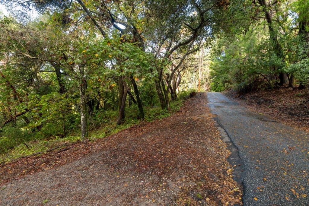 Lakeview Avenue