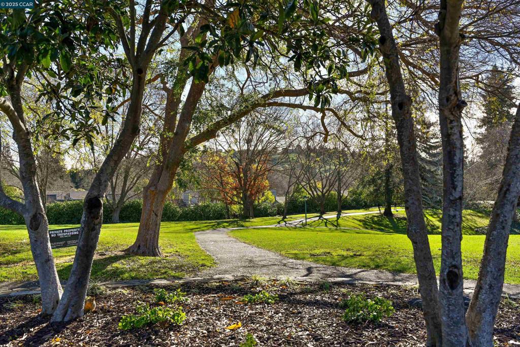 SYCAMOOMES - Residential Lease