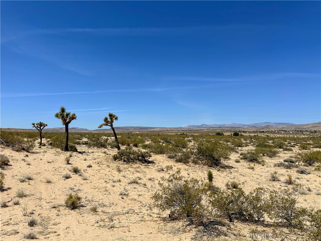 Acreage in Homestead Valley with Commercial Zoning! This 5 acre parcel offers lots of potential. One lot in from paved Landers Lane. Utilities in the area. A popular area for hiking and off-roading with endless trails to explore including Goat Mountain and Giant Rock. Close to the Goat Mountain Astronomical Research Station - experience unbelievable stargazing! Plenty of local attractions including King of the Hammers, The Integratron, and La Copine Restaurant. Short drives to Pappy and Harriet's in Pioneertown, and Joshua Tree National Park. GPS: (34.2709894, -116.3963317) APN: 0630-031-13-0000