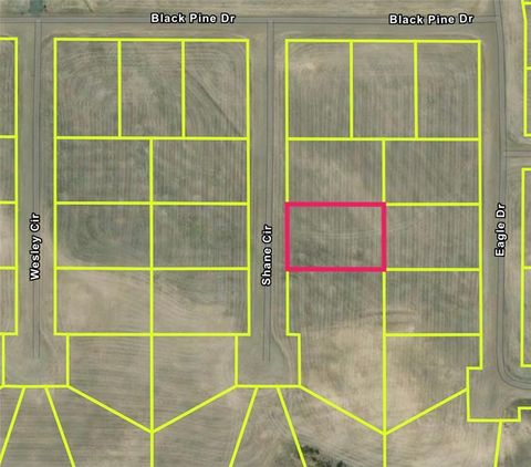 1 Shane California Pines CA 96101