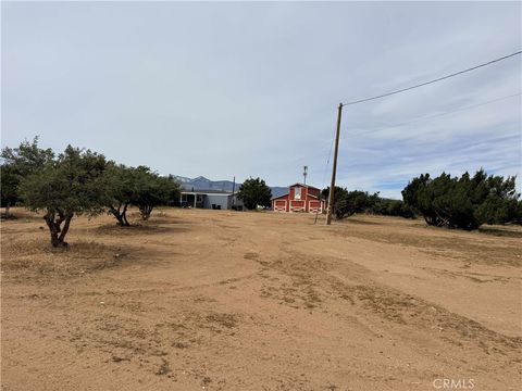 Photo of 8074 Mira Mar Road, Phelan, CA 92371 (MLS # HD26082013)