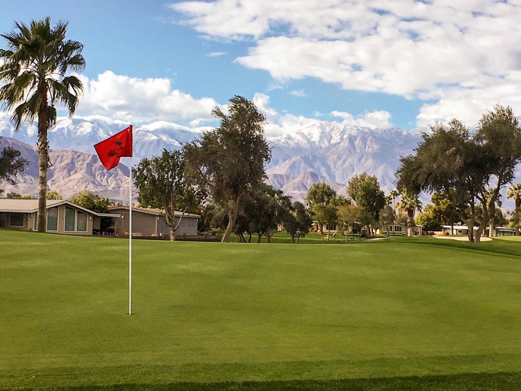 Palm Desert Greens - Manufactured In Park
