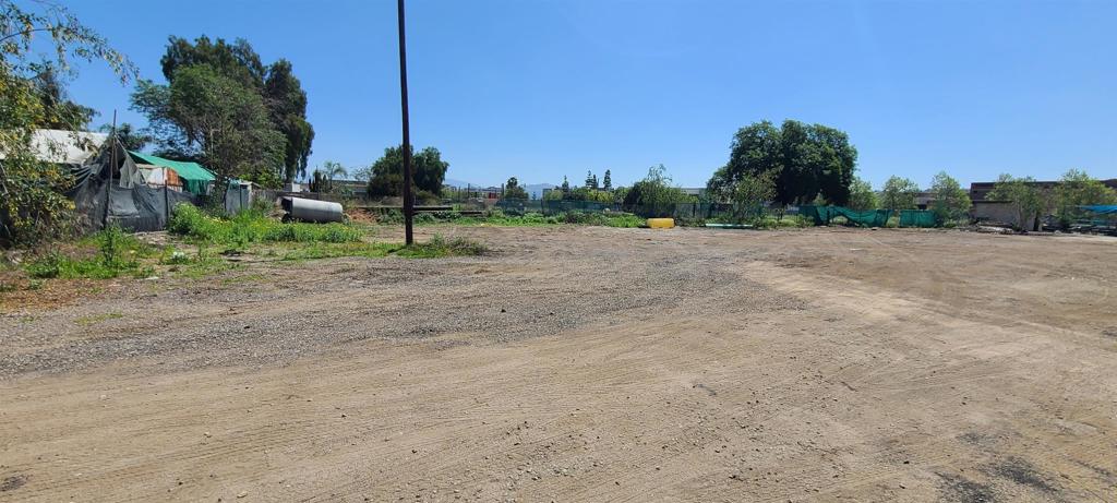 11457 El Nopal