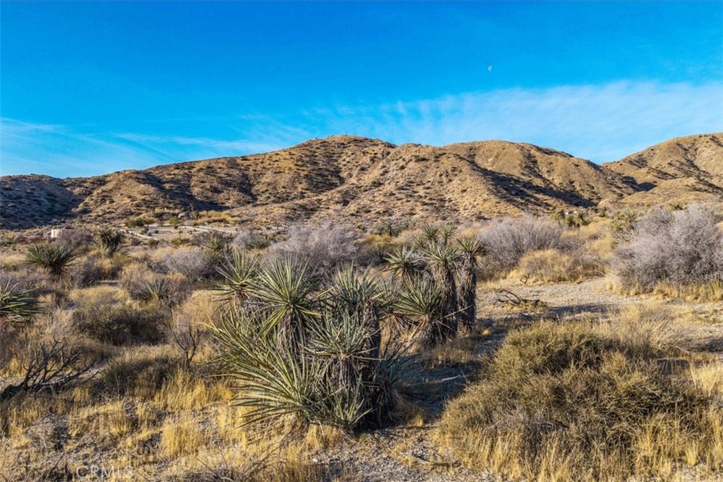 0 Palo Verde Road