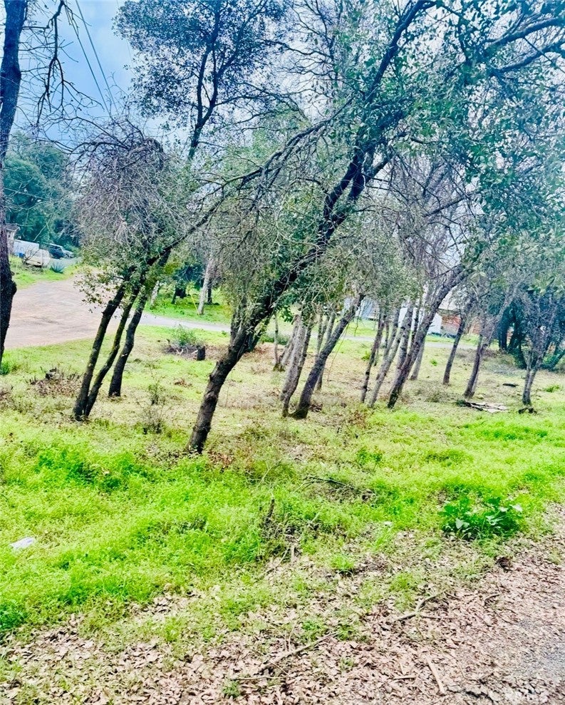 5976 Armijo