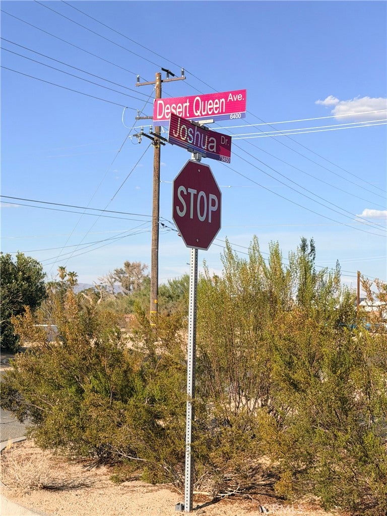 0 Desert Queen Avenue