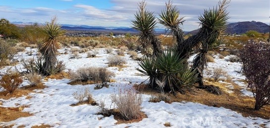 0 Desert Queen Avenue
