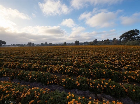 Photo of 1491 Branch Mill RD, Arroyo Grande, CA 93420 (MLS # SC26221678)