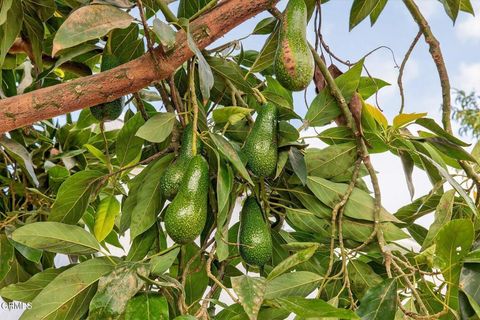 Tiny photo for 295 W Mission Street, Ventura, CA 93001 (MLS # V1-32658)