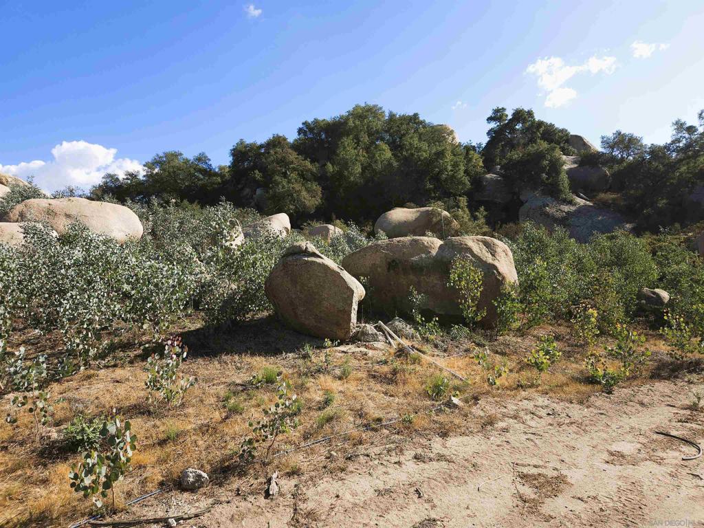 Fallbrook - Land