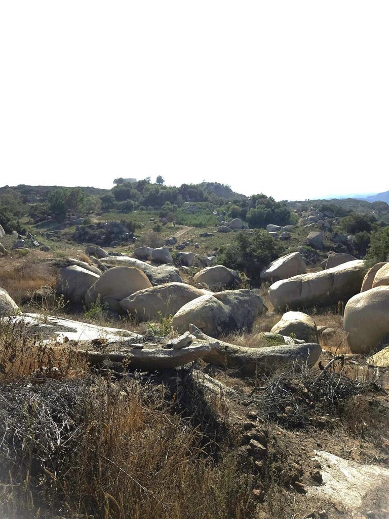 Fallbrook - Land