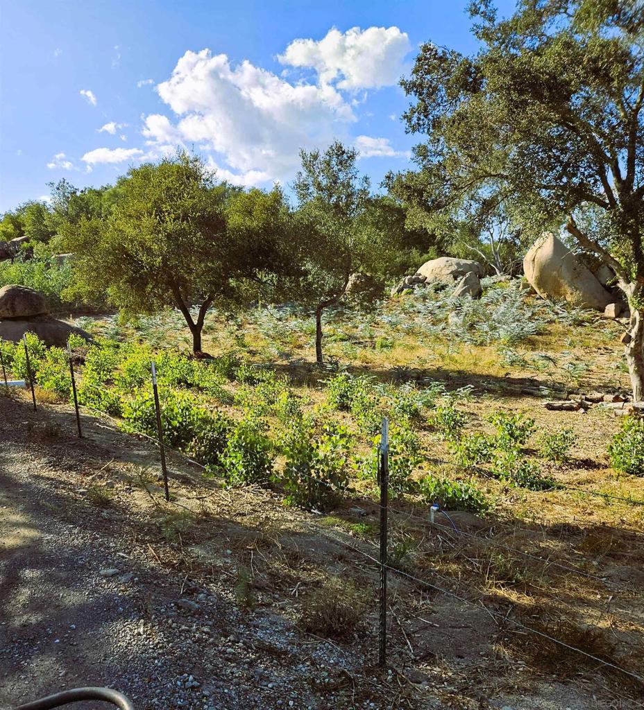Fallbrook - Land