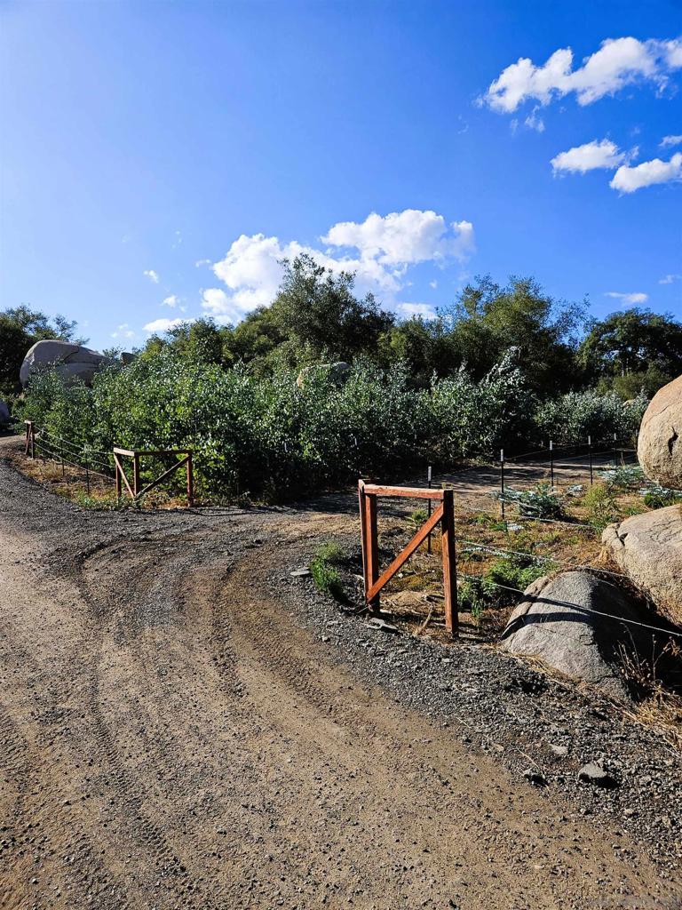 A Rare Opportunity to discover the perfect blend of business and lifestyle on this stunning 46-acre ranch, currently operating as a thriving flower farm with 20,000 plants in the ground. Whether you're looking to expand an existing business or build your dream home, this breathtaking property offers endless potential. This established flower farm features a variety of crops, including Gravilla, Early Whites, Silver Dollar, Gunni, Baby Blues, and Parvifolia. A brand-new 1.5-inch water meter with a 3-inch loop ensures efficient irrigation, making it ideal for farming operations. Multiple building sites provide incredible opportunities for development, with utilities already available at the street. The property is bordered by SDGE land and preserved open space, offering privacy and uninterrupted natural beauty. With no light pollution, the night sky is perfect for stargazing. For buyers seeking a smooth transition, the seller may remain available to assist with farm management, harvesting, and sales. This is more than just land—it’s a rare chance to own a productive, picturesque property with limitless potential.