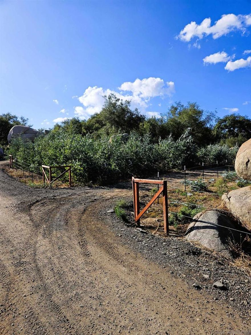 A Rare Opportunity to discover the perfect blend of business and lifestyle on this stunning 46-acre ranch, currently operating as a thriving flower farm with 20,000 plants in the ground. Whether you're looking to expand an existing business or build your dream home, this breathtaking property offers endless potential.  This established flower farm features a variety of crops, including Gravilla, Early Whites, Silver Dollar, Gunni, Baby Blues, and Parvifolia. A brand-new 1.5-inch water meter with a 3-inch loop ensures efficient irrigation, making it ideal for farming operations.  Multiple building sites provide incredible opportunities for development, with utilities already available at the street. The property is bordered by SDGE land and preserved open space, offering privacy and uninterrupted natural beauty. With no light pollution, the night sky is perfect for stargazing.  For buyers seeking a smooth transition, the seller may remain available to assist with farm management, harvesting, and sales.  This is more than just land—it’s a rare chance to own a productive, picturesque property with limitless potential.